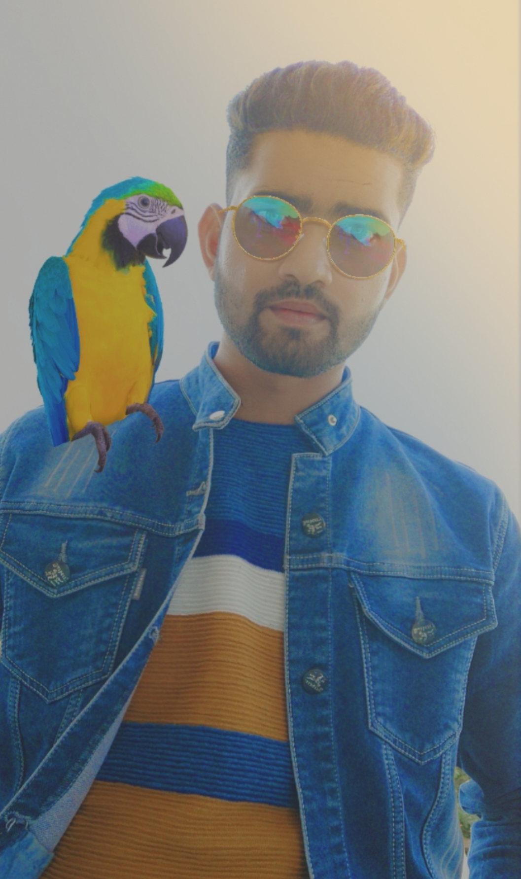 Raja
