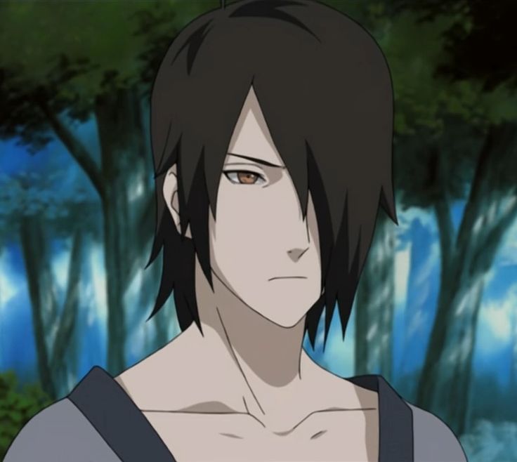 Sensei